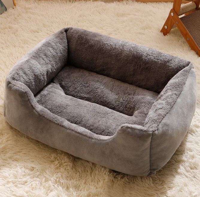 Gray pet bed on a fluffy beige carpet