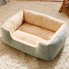 Pet bed with soft padding on a fluffy carpet