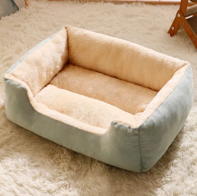 Pet bed with soft padding on a fluffy carpet