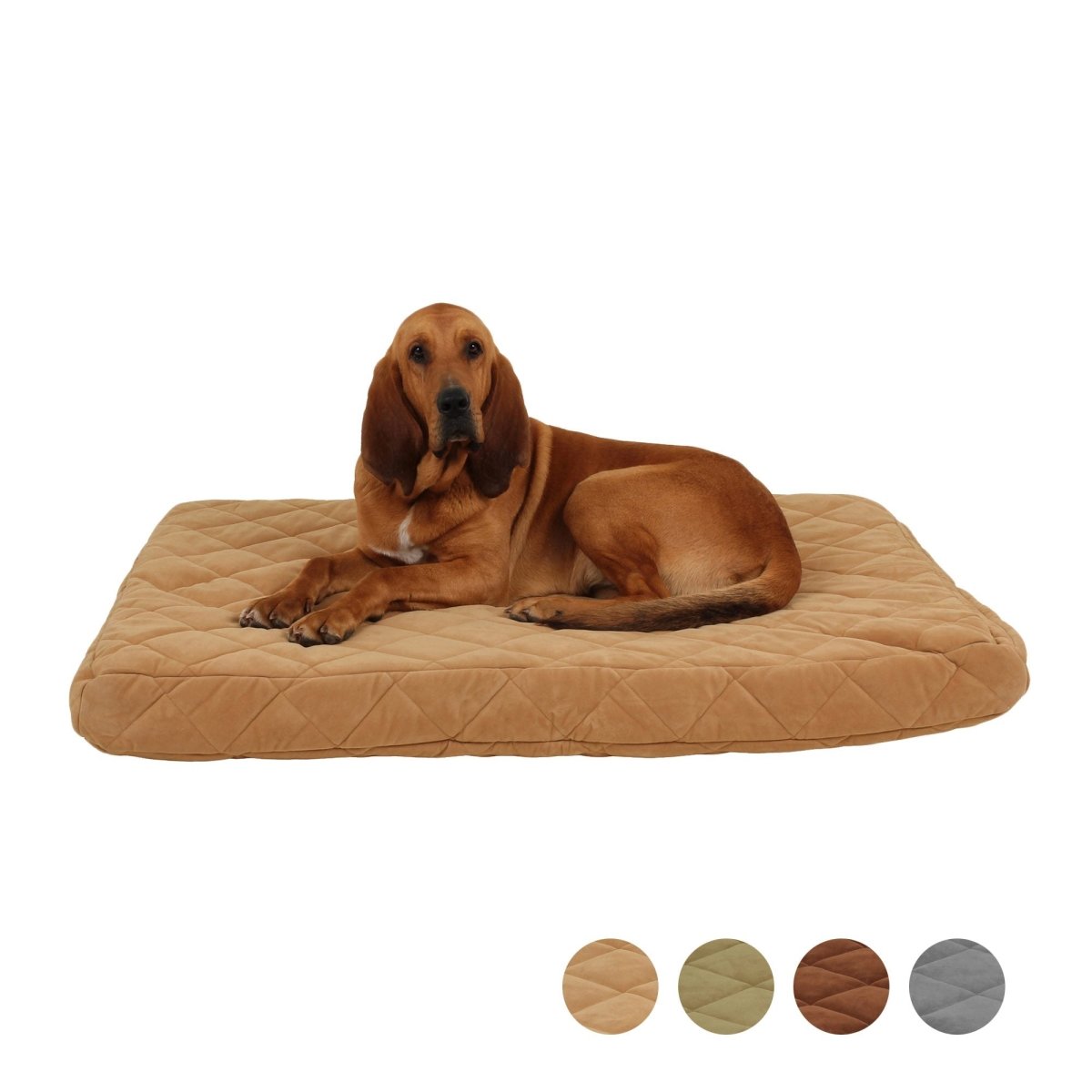 Dog lying on a beige quilted pet bed with color swatches below.